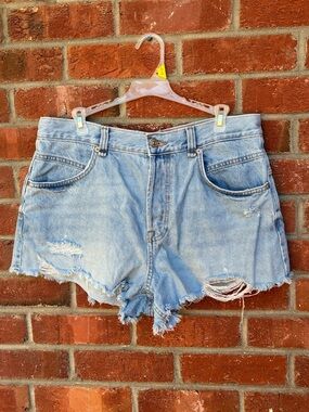 FREE PEOPLE daisy dukes.